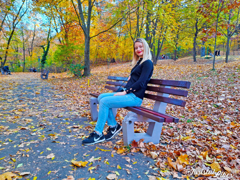 Brasov Walking Tour – Discover 12 impressive sights