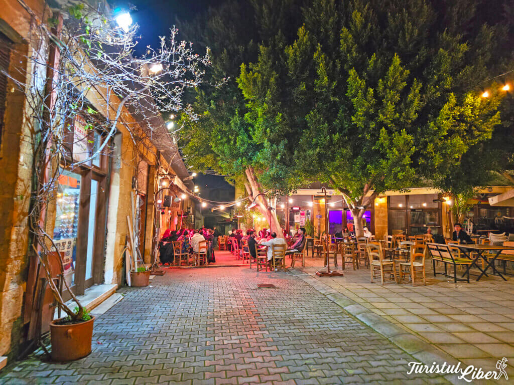 what to do in nicosia
