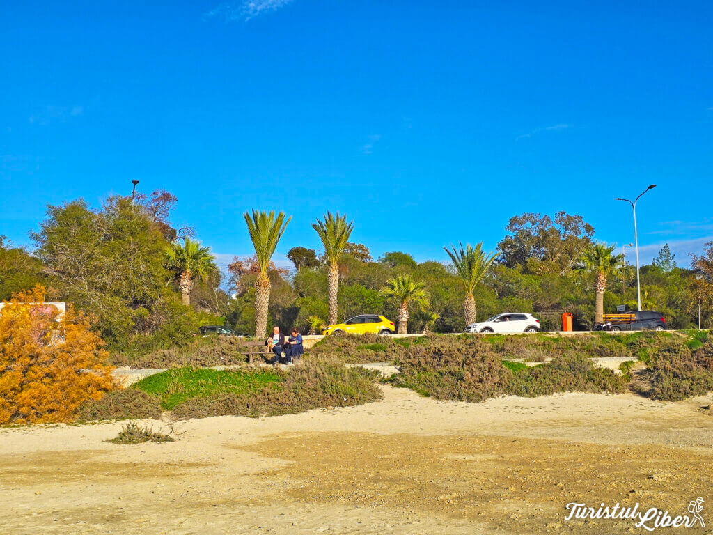 Car rental in Cyprus